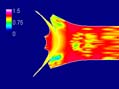 Impact problem:Appendix